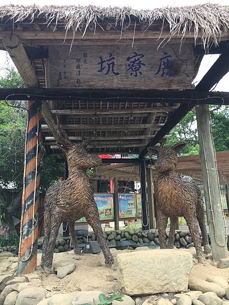 健行趣 ~ 鹿寮坑桐花步道，花況超好(109.4.28)