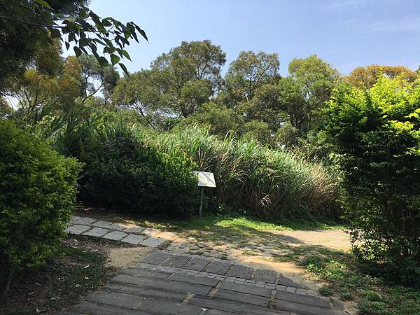 健行趣 ~ 鳳崎步道，以蓮花寺為起點(109.4.30)