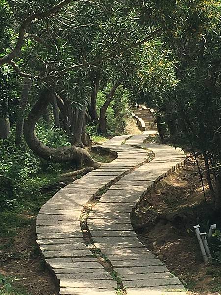 健行趣 ~ 鳳崎步道，以蓮花寺為起點(109.4.30)