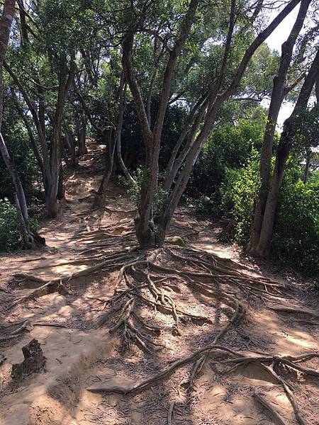 健行趣 ~ 鳳崎步道，以蓮花寺為起點(109.4.30)