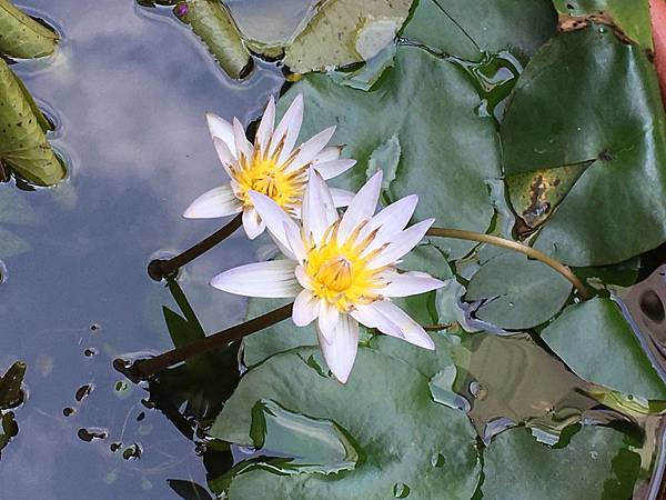 放手的時機(109.5.11)