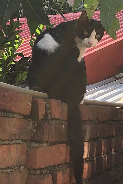 [高二] 機會留給誰？(109.5.13)