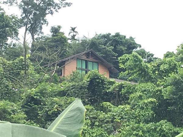 健行趣 ~ 橫山北窩田寮坑(109.5.21)