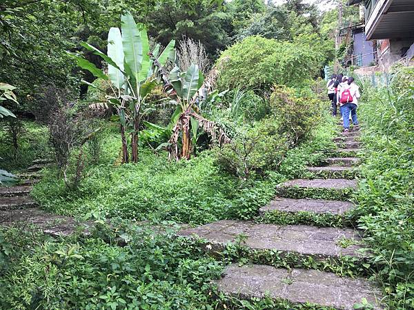 健行趣 ~ 大崎棟古道(109.6.11)