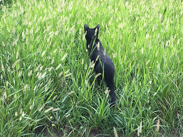 教養的終極目的是什麼？(109.7.1)