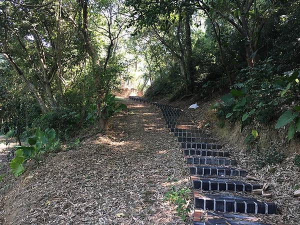 健行趣 ~ 文山步道 A 到犁頭山三角點(109.9.23)