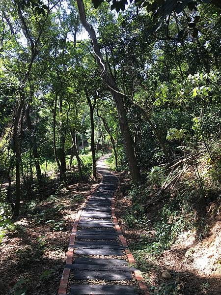 健行趣 ~ 文山步道 A 到犁頭山三角點(109.9.23)