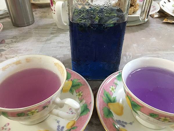 我和我的鄰居們(109.10.15)