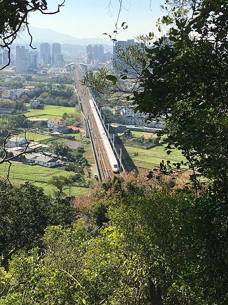 健行趣 ~ 文山步道：蓮華寺--犁頭山三角點--吧哩國山--雞舍下山(110.1.14)