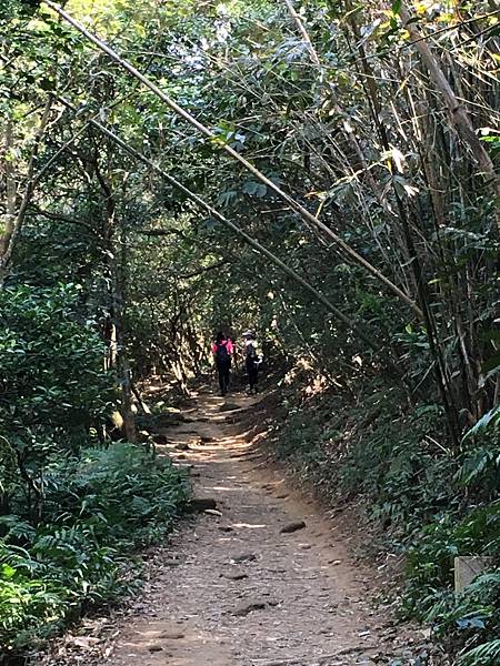 健行趣 ~ 石壁潭步道接飛鳳山 2K+800 觀日亭(110.1.19)