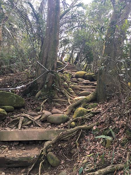 健行趣 ~ 石壁潭生態步道接飛鳳山2800觀日亭(110.3.10)