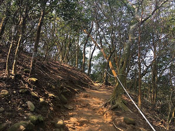 健行趣 ~ 石壁潭生態步道接飛鳳山2800觀日亭(110.3.10)