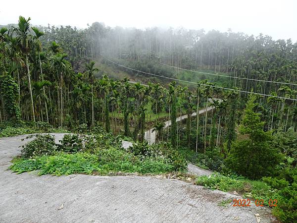 100個夢想之81 ~ 探訪新景點：古坑華山雲208+湖山水庫健行(111.2.2)