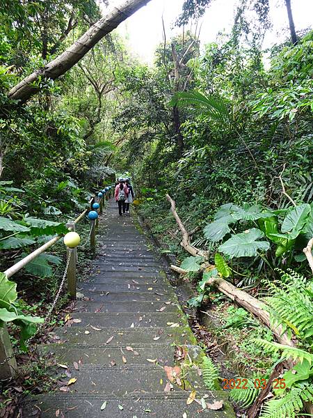 健行趣 ~ 石光古道(111.3.25)