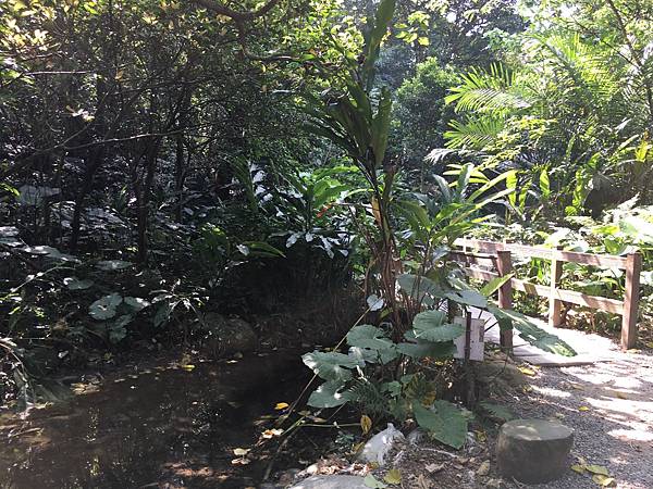 富陽自然生態公園+福州山公園(111.9.9)