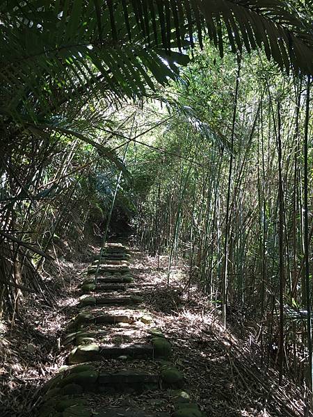 健行趣 ~ 苗栗三灣，銅鏡映獅山自然步道(111.11.6)