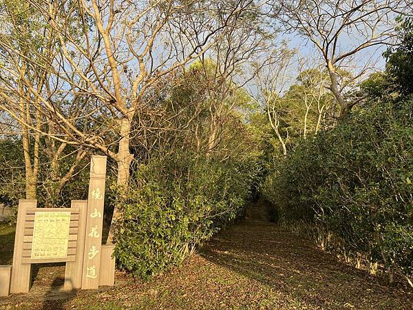 100個夢想之87 ~ 探訪新景點:繞山花步道(112.1.13) 100個夢想之87 ~ 探訪新景點:繞山花步道(112.1.13)