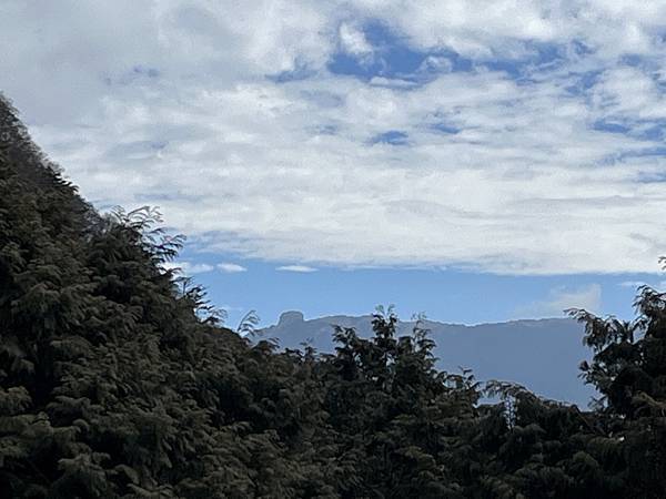 觀霧山莊與雲霧步道(112.2.4)