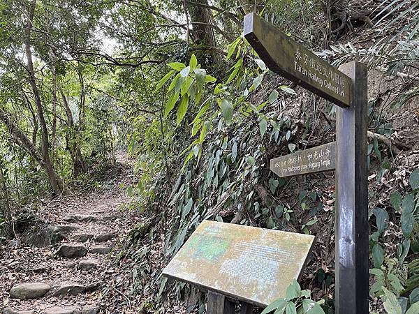 100個夢想之96 ~ 探訪新景點：泰安登山步道(112.3.3)