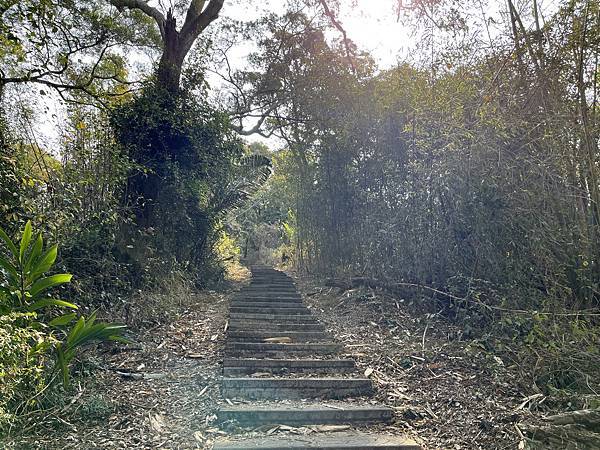 100個夢想之96 ~ 探訪新景點：泰安登山步道(112.3.3)