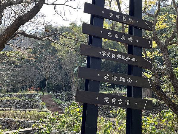 100個夢想之96 ~ 探訪新景點：泰安登山步道(112.3.3)