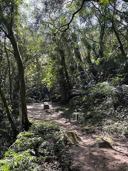 健行趣 ~ 六寮古道+獅山古道(112.3.9)