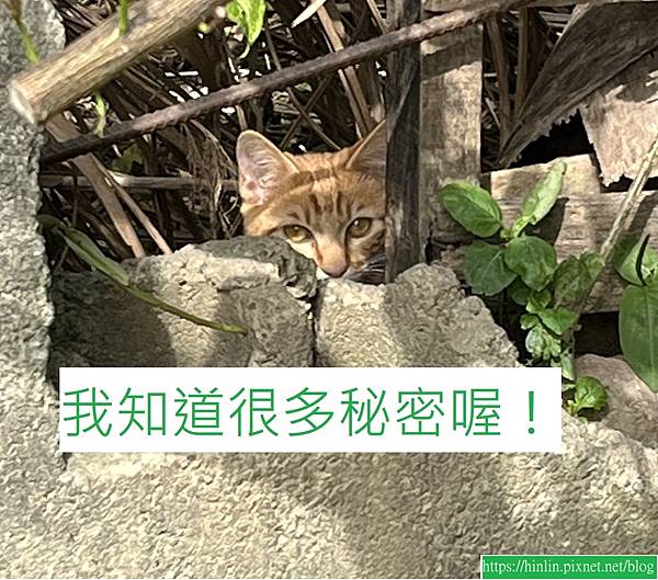 [大二] 我知道很多秘密喔！(112.5.21)