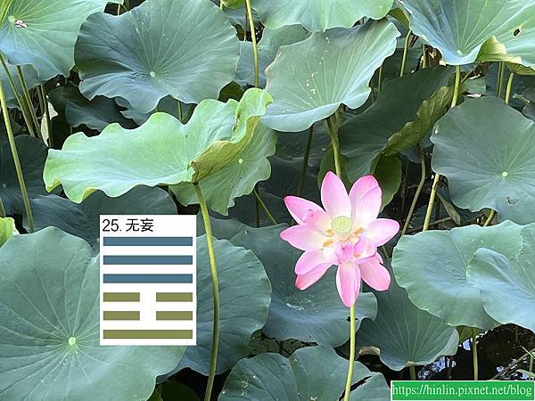 學易經 ~ 無妄卦帶給我的啟示(112.5.25) 學易經 ~ 無妄卦帶給我的啟示(112.5.25)