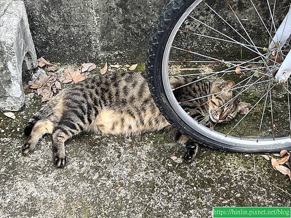 你是哪種拖延人格？(112.6.11)