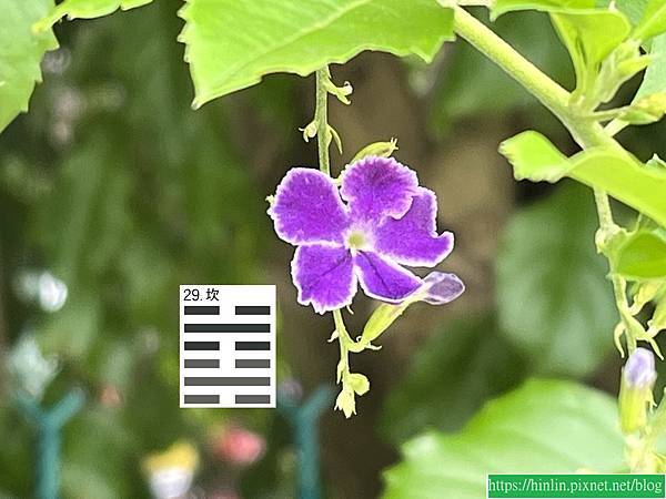 遇到困難時,你從哪裡下手(112.6.29) 遇到困難時,你從哪裡下手(112.6.29)
