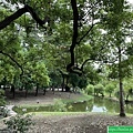 巴克禮公園散步(112.7.19)