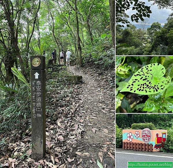 健行趣 ~ 泰安登山步道練腳力(112.7.23)