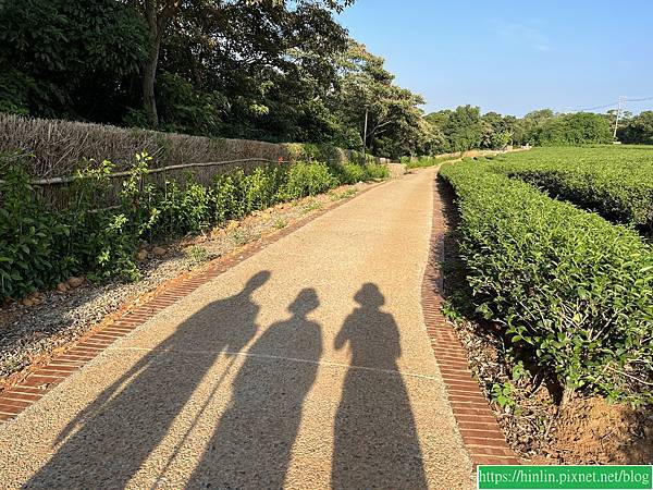 健行趣 ~ 湖口秘境茶香步道(112.9.17)