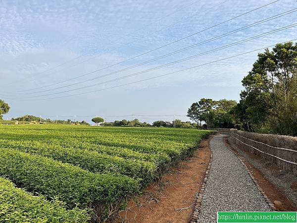 健行趣 ~ 湖口秘境茶香步道(112.9.17)