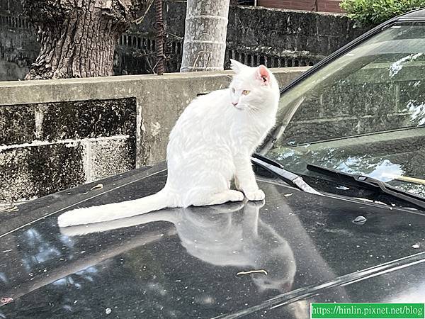 花蓮三日遊之一：搭火車到花蓮，遊新城(112.11.26)