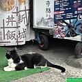 花蓮三日遊之一：搭火車到花蓮，遊新城(112.11.26)