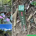 馬胎古道健行趣(112.12.14)