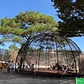 到新竹動物園看古蹟，正是好時機(112.12.15)