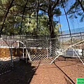 到新竹動物園看古蹟，正是好時機(112.12.15)