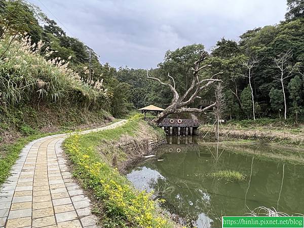 健行趣 ~ 橫山，三叉埤 + 墩子銃古道(113.1.4)