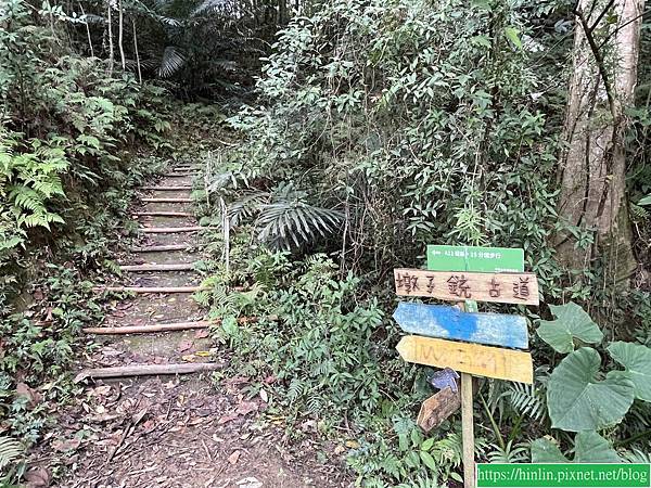 健行趣 ~ 橫山，三叉埤 + 墩子銃古道(113.1.4)