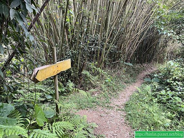 健行趣 ~ 橫山，三叉埤 + 墩子銃古道(113.1.4)