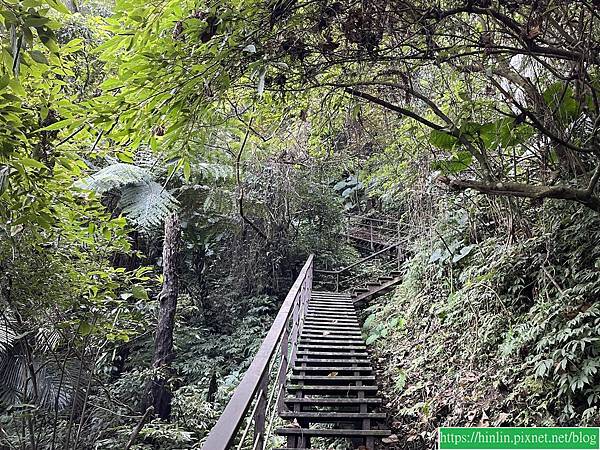 新竹五指山橫向步道(113.1.11)