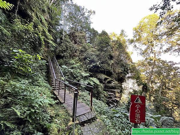 新竹五指山橫向步道(113.1.11)