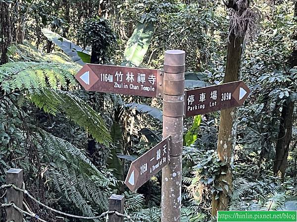 新竹五指山橫向步道(113.1.11)