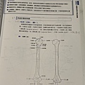 錄製教科書，物理治療實務(113.4.1)