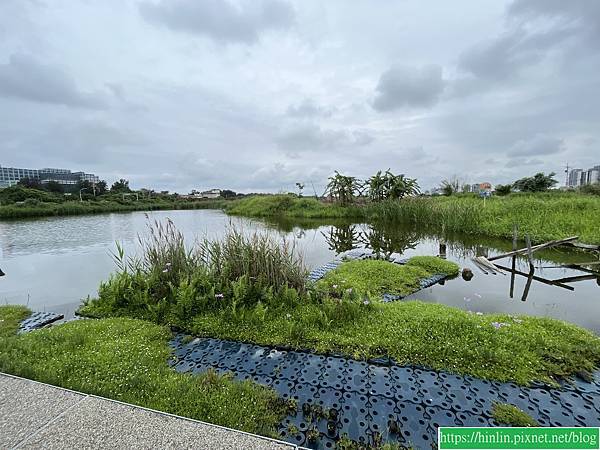 健走杖運動課 6 ~ 港南運河公園-港北埤塘-植物浮島-香草