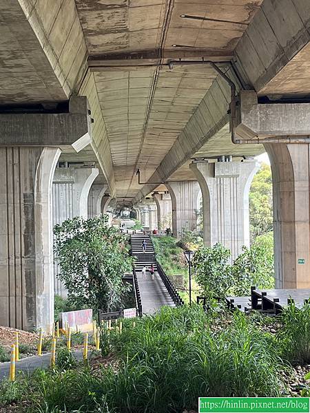 健行趣 ~ 沙鹿登山步道(113.5.11)