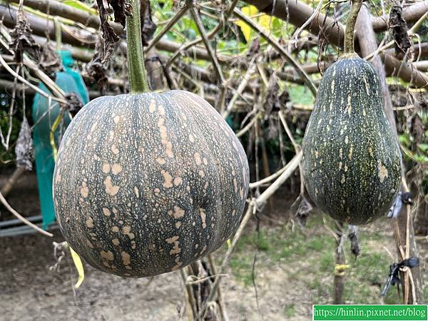 快閃回台南(113.6.24)