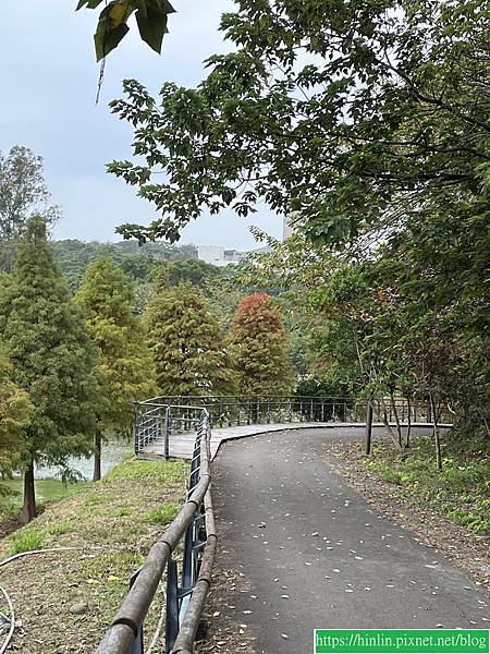 健行趣 ~ 交大落羽松森林步道(113.12.27)